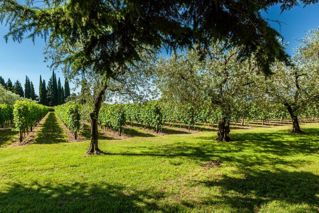 Quercia Belvedere Relais Бардолино Экстерьер фото